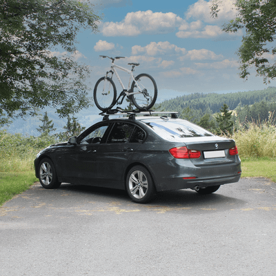 Dakfietsendrager ProRide 598